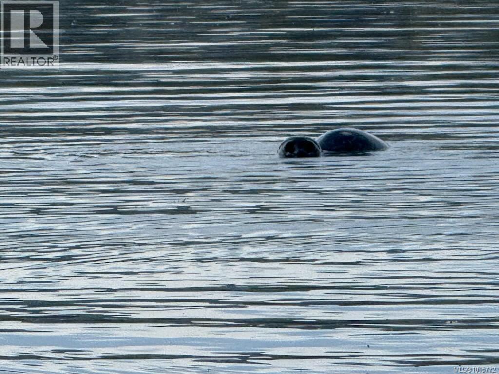 7002 East Sooke Rd, Sooke, British Columbia  V9Z 1A8 - Photo 84 - 1015772