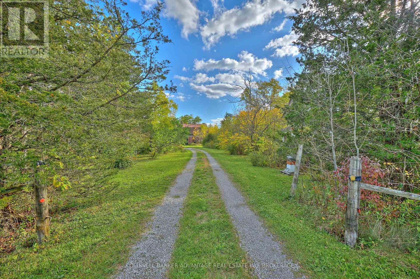 925 Carl Road, Welland, Ontario  L0S 1K0 - Photo 3 - X12457811