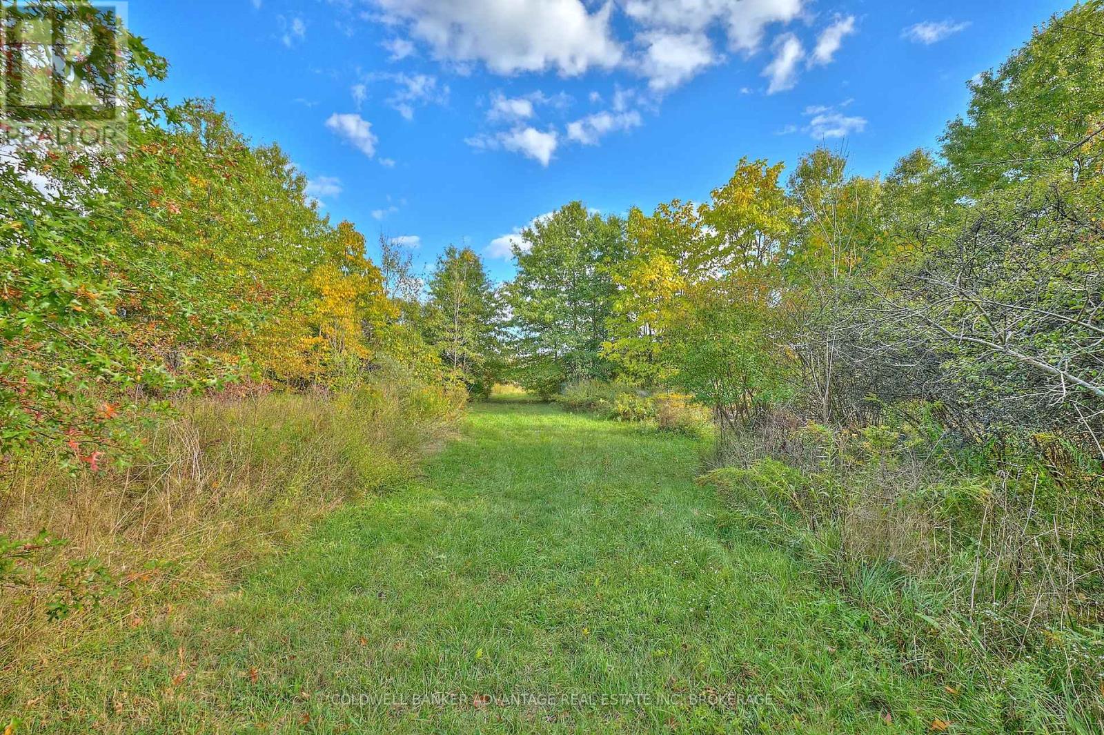 925 Carl Road, Welland, Ontario  L0S 1K0 - Photo 5 - X12457811