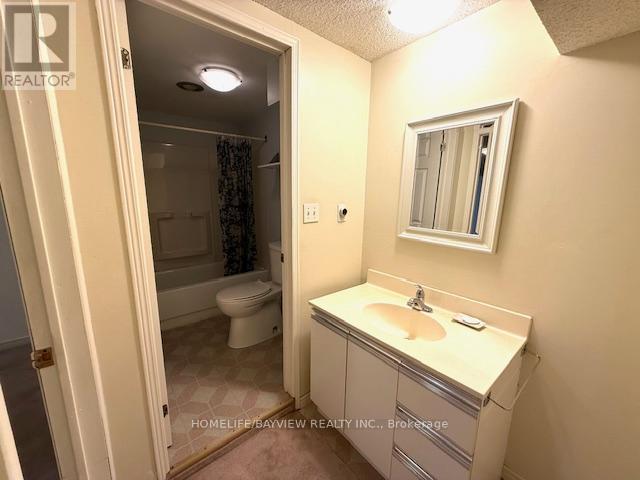 Basement - 279 Kirby Crescent, Newmarket, Ontario  L3X 1H5 - Photo 12 - N12457833