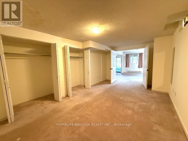 Basement - 279 Kirby Crescent, Newmarket, Ontario  L3X 1H5 - Photo 13 - N12457833