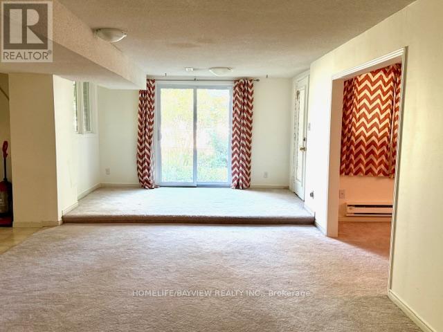 Basement - 279 Kirby Crescent, Newmarket, Ontario  L3X 1H5 - Photo 3 - N12457833