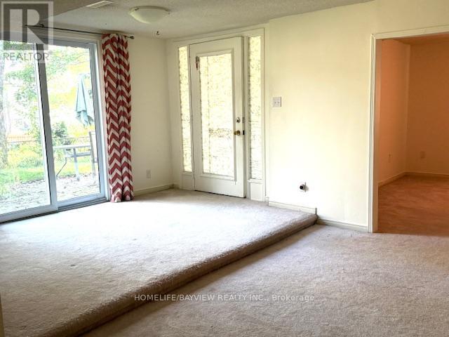 Basement - 279 Kirby Crescent, Newmarket, Ontario  L3X 1H5 - Photo 7 - N12457833