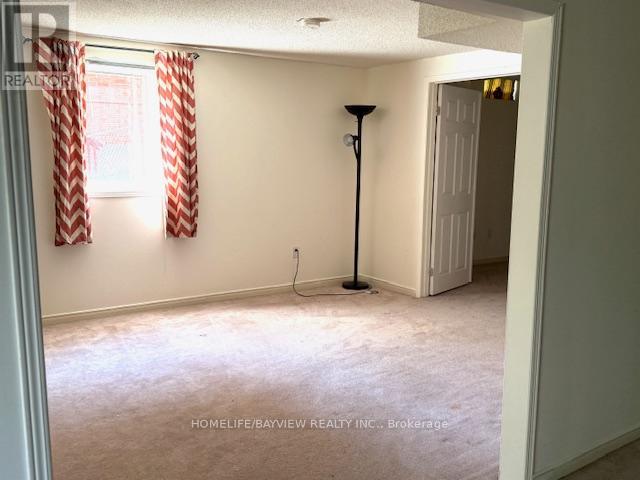 Basement - 279 Kirby Crescent, Newmarket, Ontario  L3X 1H5 - Photo 8 - N12457833
