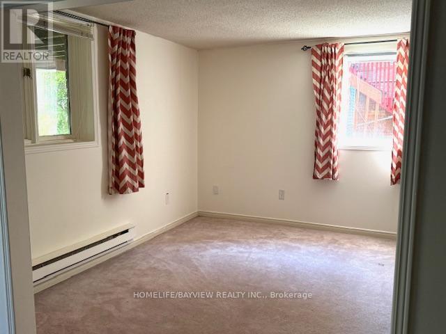 Basement - 279 Kirby Crescent, Newmarket, Ontario  L3X 1H5 - Photo 9 - N12457833