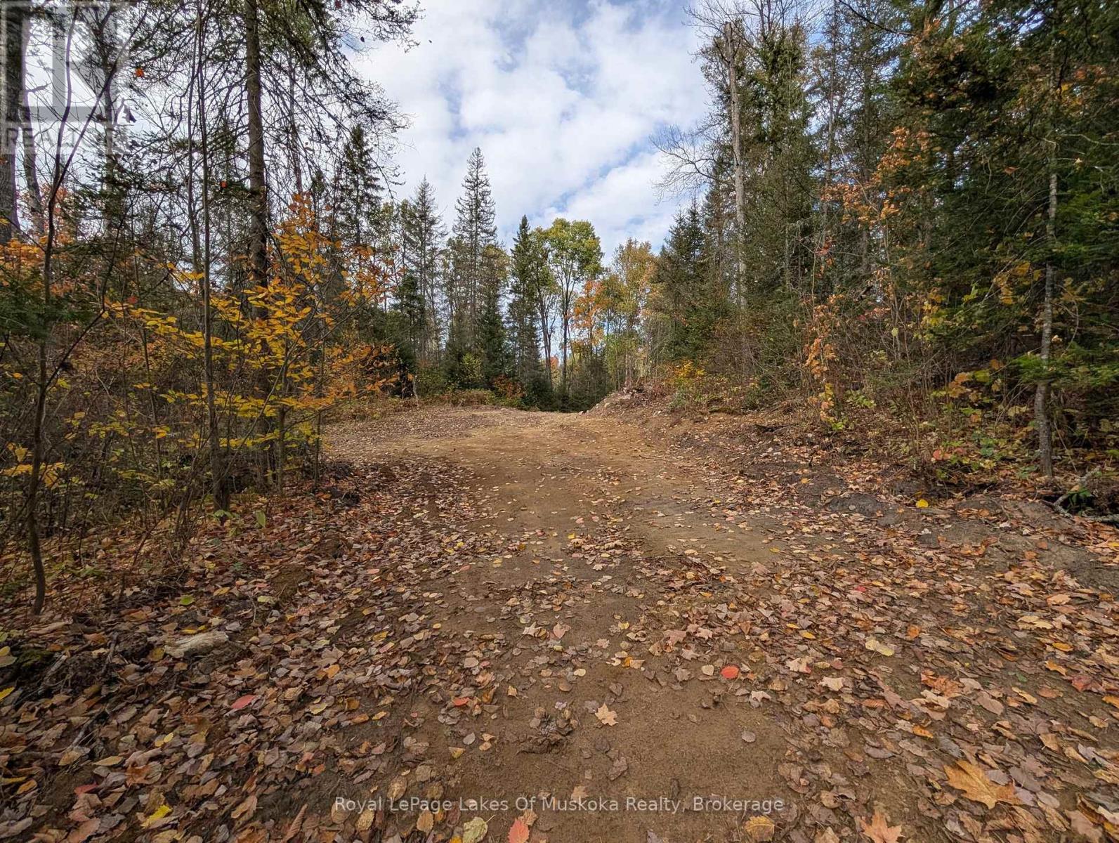 0 Forest Lake Road, Joly, Ontario  P0A 1X0 - Photo 4 - X12457884