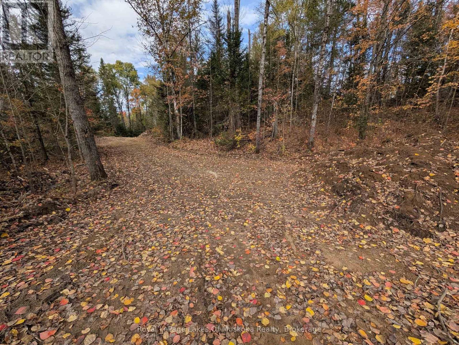 0 Forest Lake Road, Joly, Ontario  P0A 1X0 - Photo 5 - X12457884