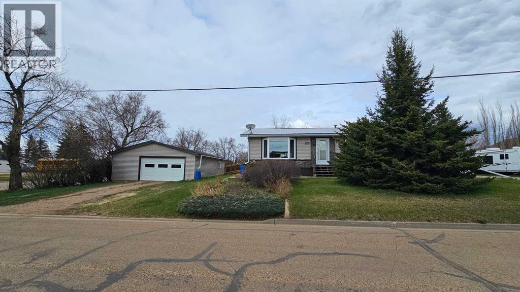 4501 54 Avenue, Castor, Alberta  T0C 0X0 - Photo 1 - A2257810