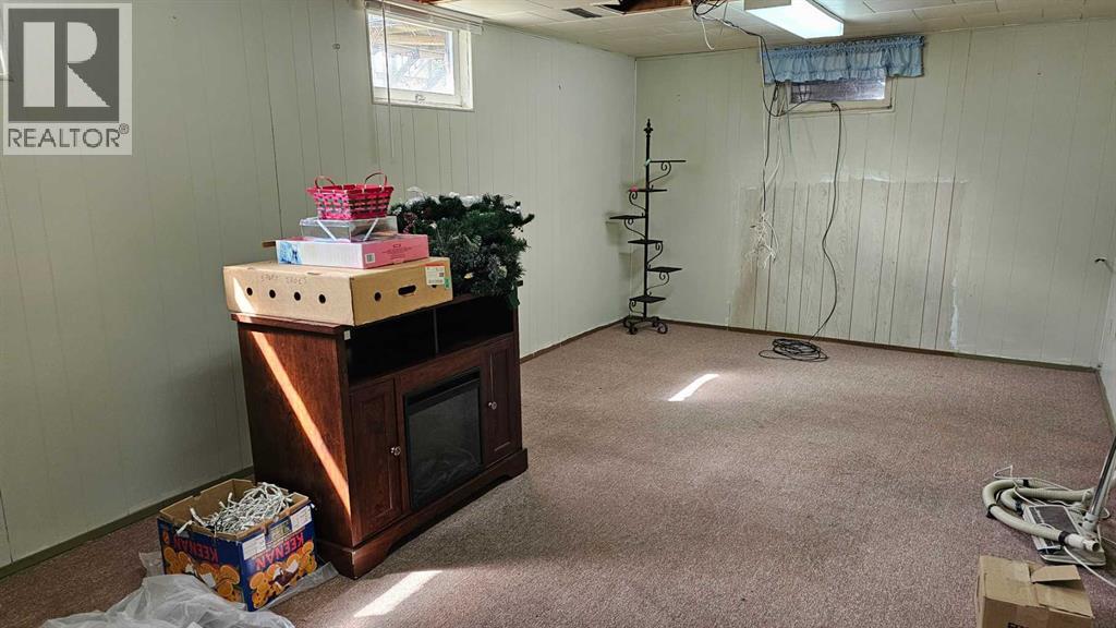 4501 54 Avenue, Castor, Alberta  T0C 0X0 - Photo 36 - A2257810