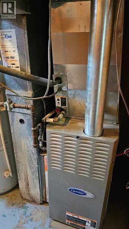 4501 54 Avenue, Castor, Alberta  T0C 0X0 - Photo 41 - A2257810