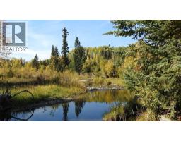 108 Acres Bordering Kananaskis, Rural Foothills County, Ca