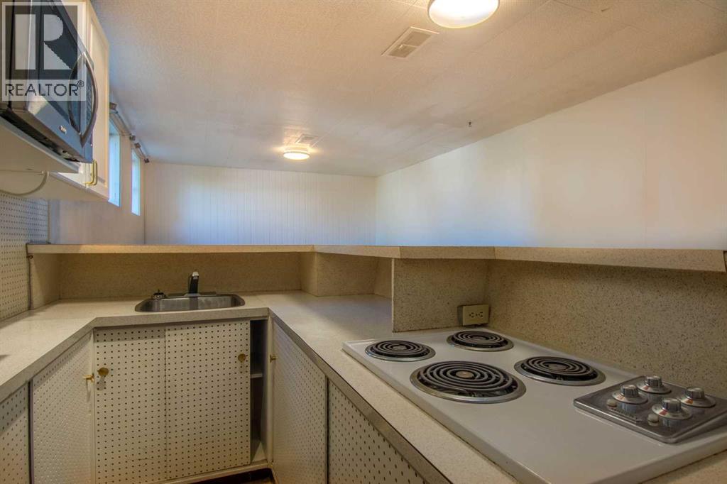 5015 51 Street, Rocky Mountain House, Alberta  T4T 1E2 - Photo 35 - A2263825