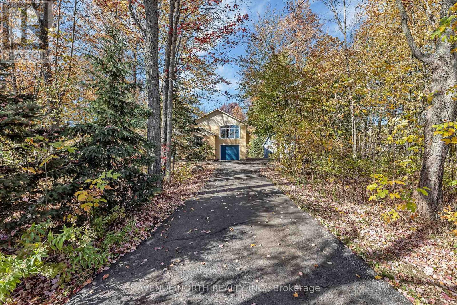 1631 County Rd 2 Road, Alfred And Plantagenet, Ontario  K0B 1C0 - Photo 3 - X12458037