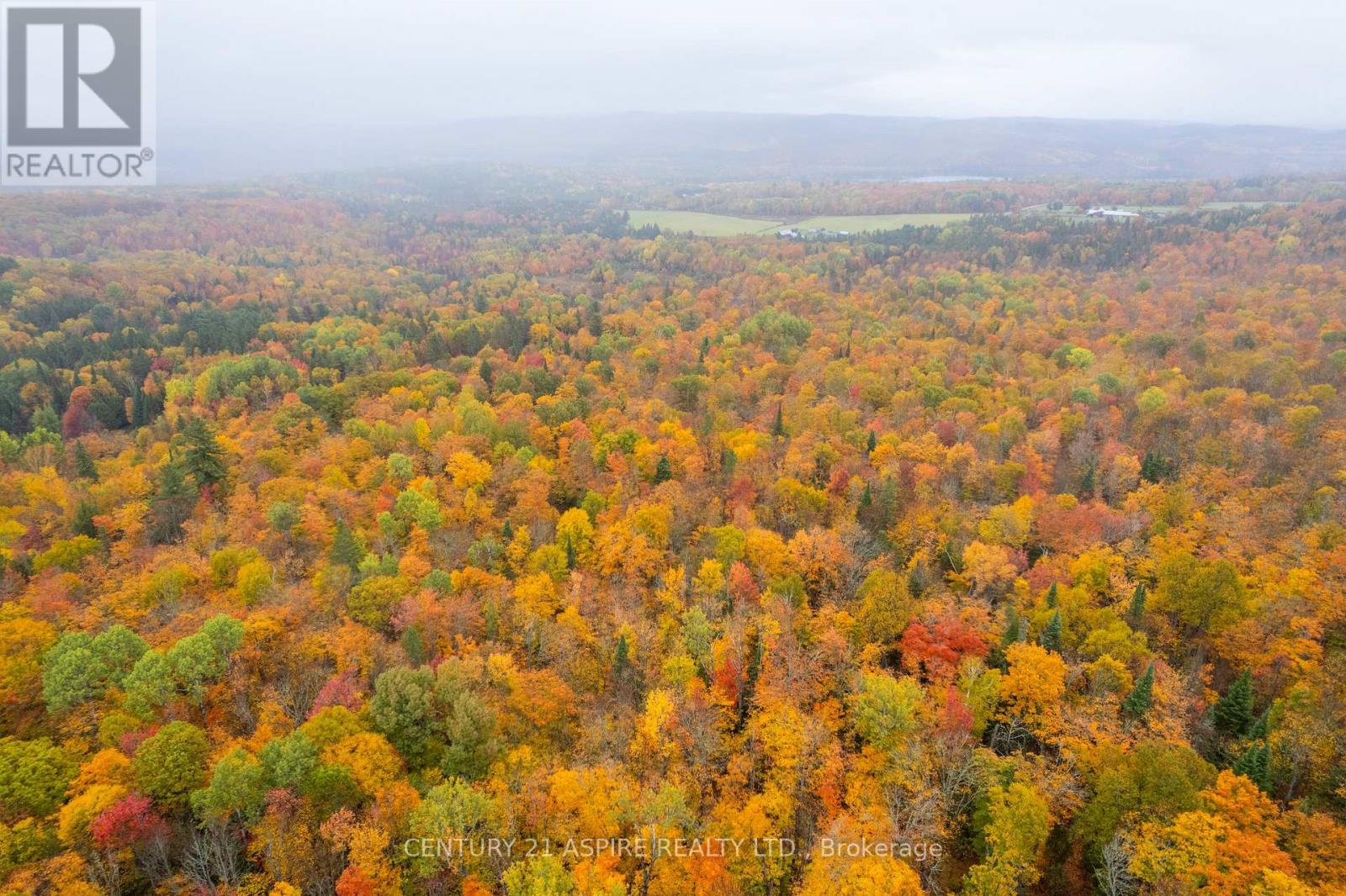 00 Peplinskie Road, Madawaska Valley, Ontario  K0J 1L0 - Photo 10 - X12452924