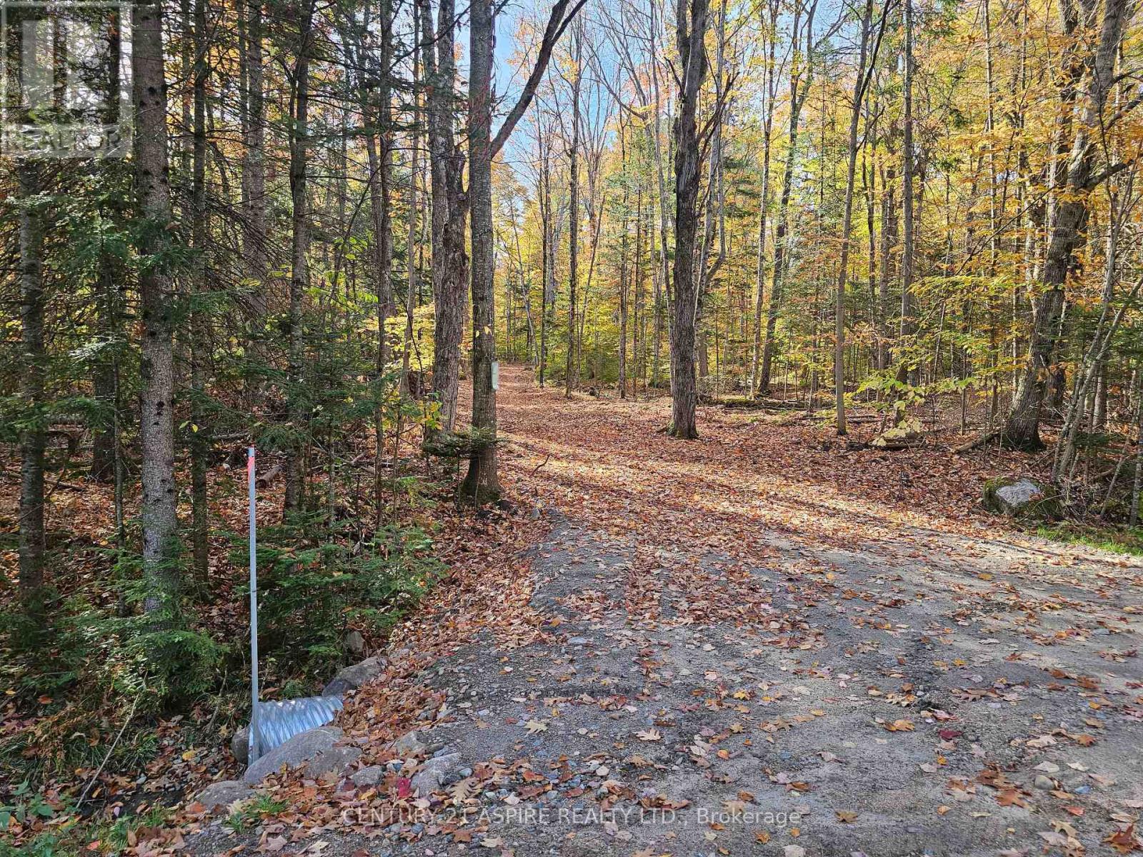 00 Peplinskie Road, Madawaska Valley, Ontario  K0J 1L0 - Photo 3 - X12452924