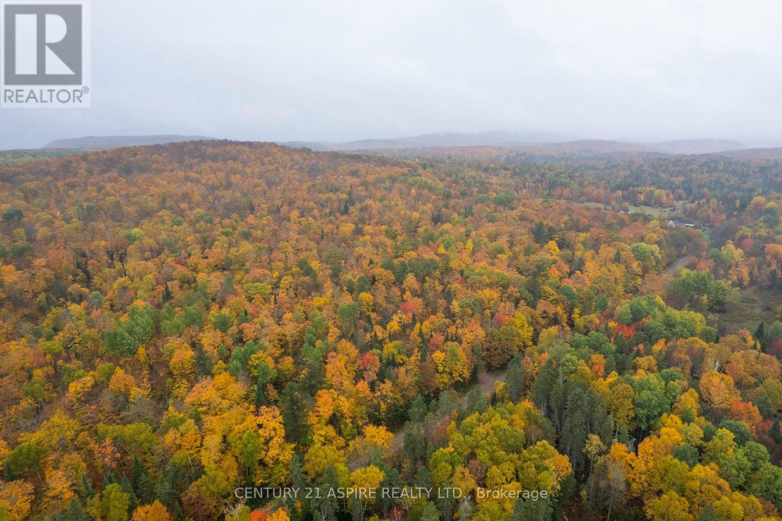 00 Peplinskie Road, Madawaska Valley, Ontario  K0J 1L0 - Photo 7 - X12452924