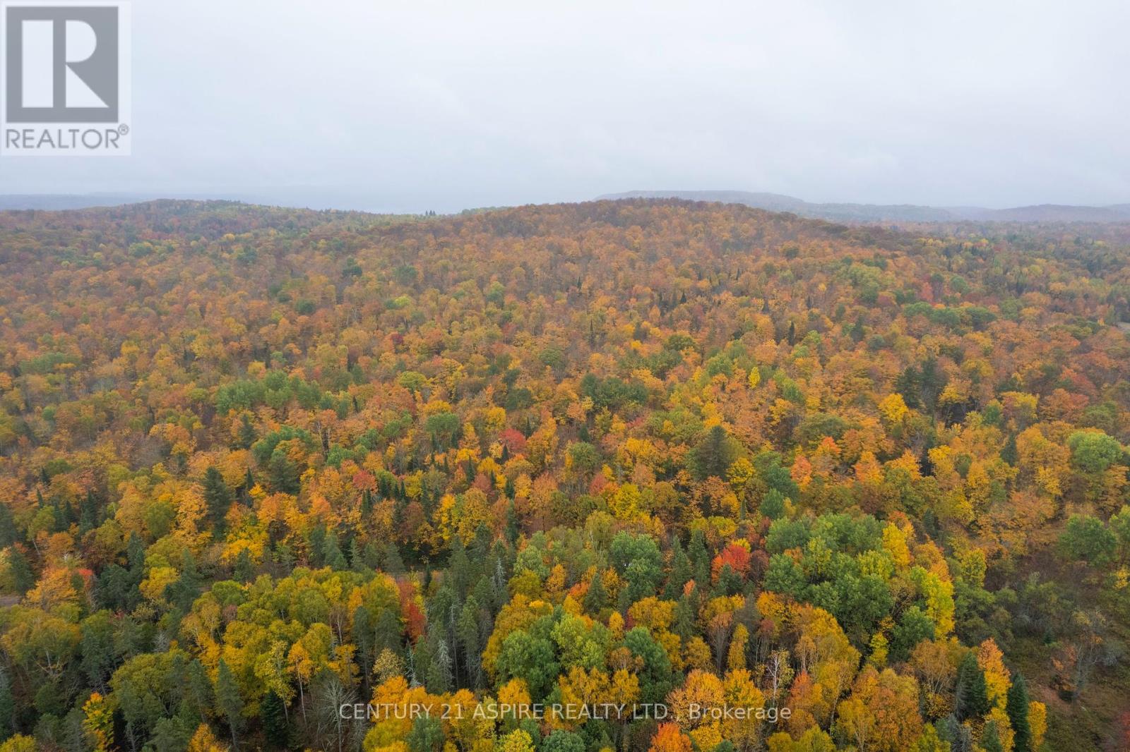 00 Peplinskie Road, Madawaska Valley, Ontario  K0J 1L0 - Photo 8 - X12452924