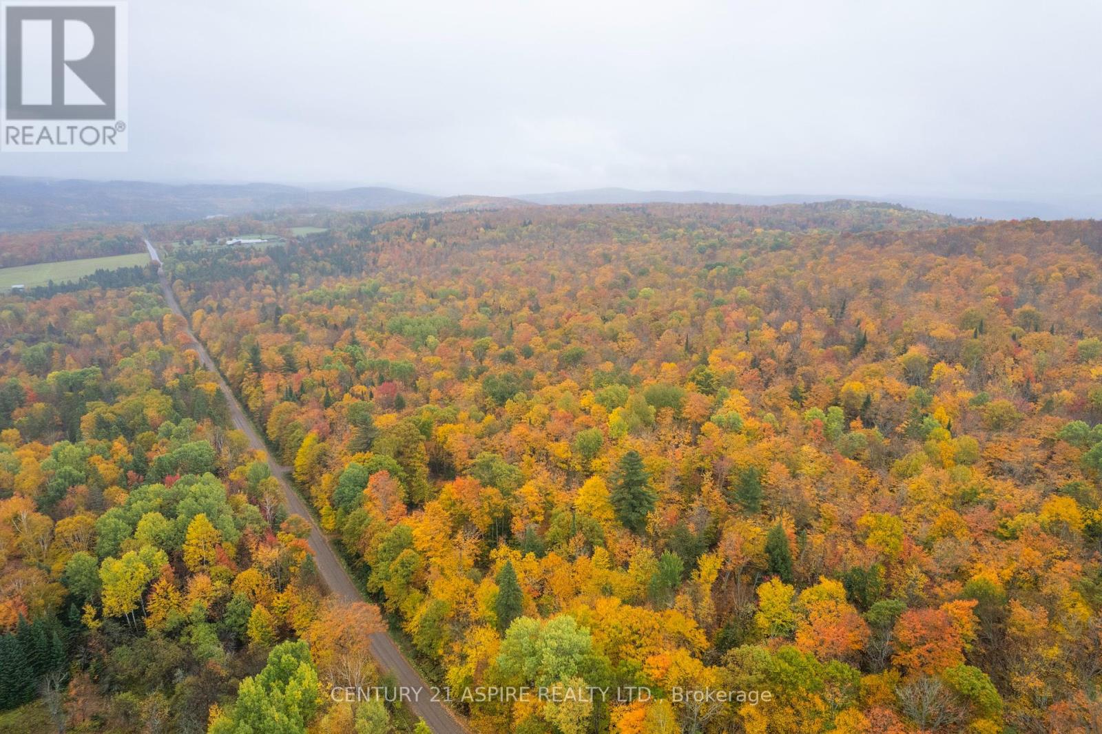 00 Peplinskie Road, Madawaska Valley, Ontario  K0J 1L0 - Photo 9 - X12452924