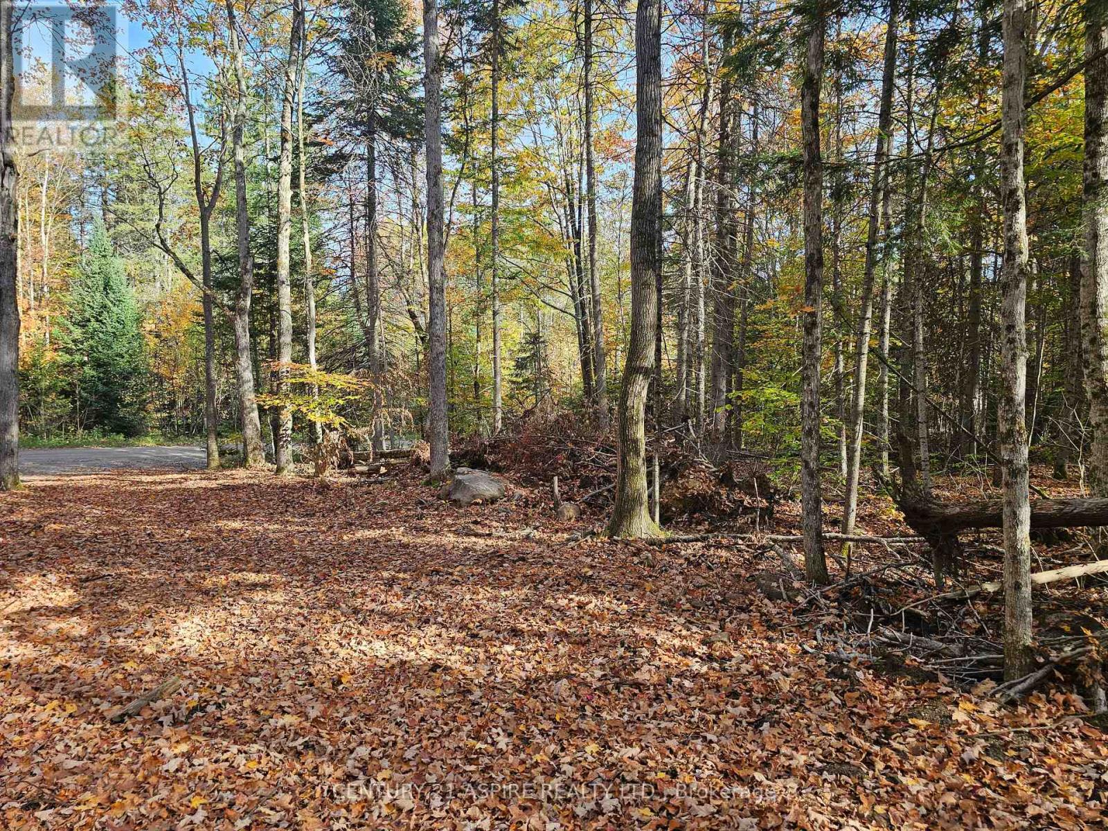 00 Peplinskie Road, Madawaska Valley, Ontario  K0J 1L0 - Photo 6 - X12452924
