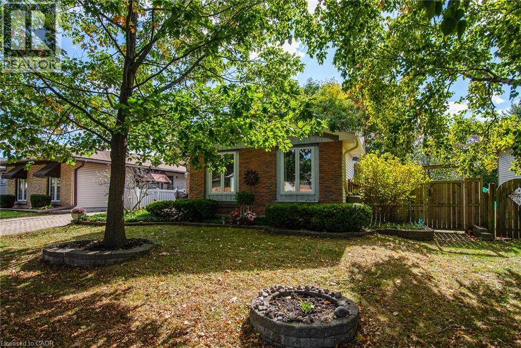 19 Keewatin Avenue, Kitchener, Ontario  N2B 3M1 - Photo 3 - 40777889