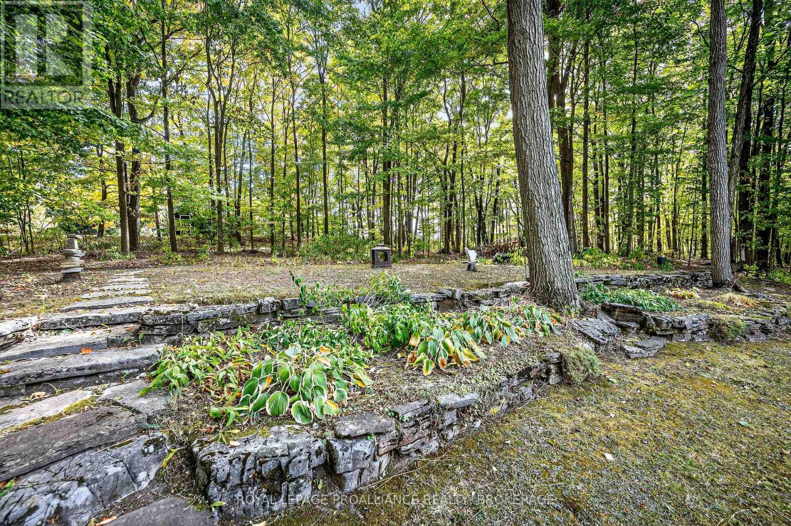 1445 Rickards Road, Frontenac, Ontario  K0H 2L0 - Photo 43 - X12415042