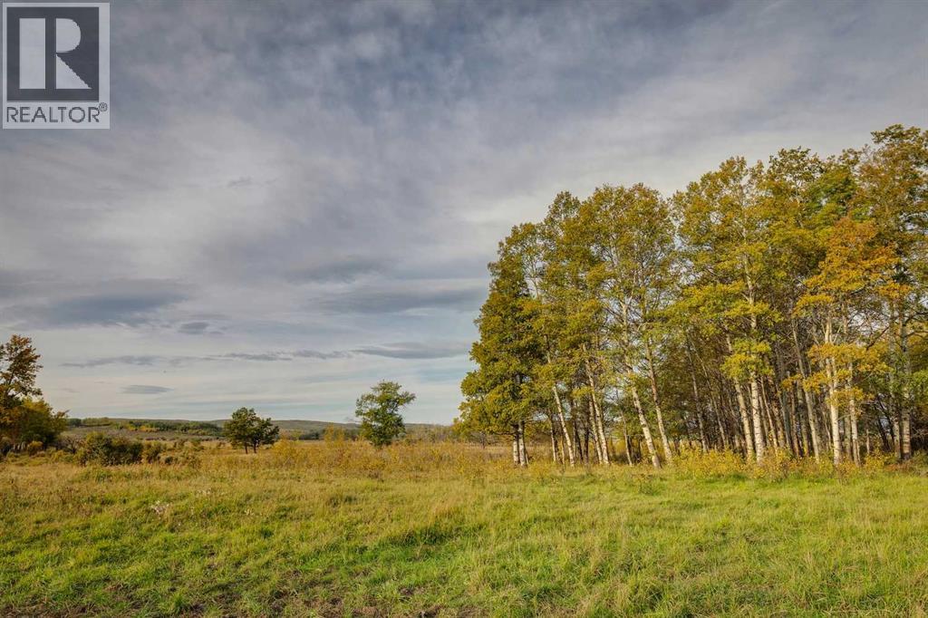 176 St W And 450 Ave W, Rural Foothills County, Alberta  T1S 2V3 - Photo 14 - A2263582
