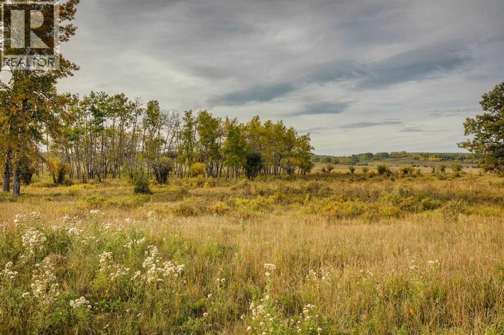 176 St W And 450 Ave W, Rural Foothills County, Alberta  T1S 2V3 - Photo 18 - A2263582
