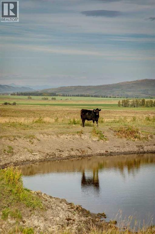 176 St W And 450 Ave W, Rural Foothills County, Alberta  T1S 2V3 - Photo 30 - A2263582