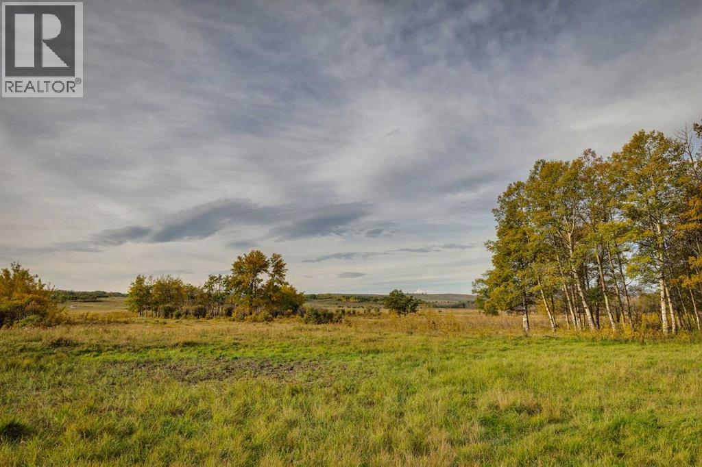 176 St W And 450 Ave W, Rural Foothills County, Alberta  T1S 2V3 - Photo 12 - A2263582