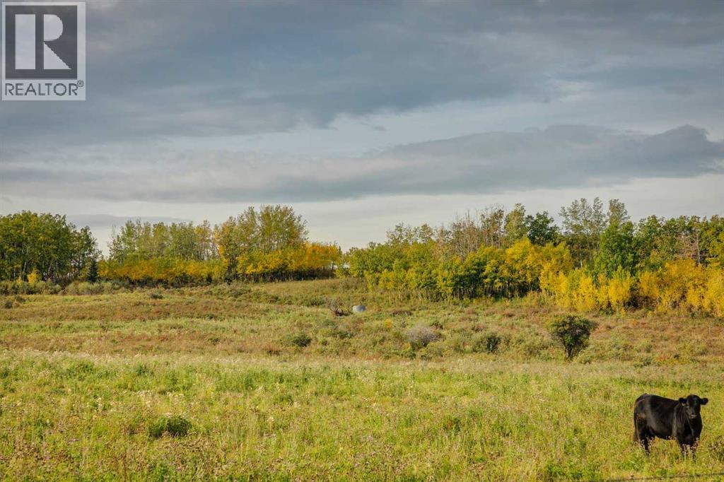 176 St W And 450 Ave W, Rural Foothills County, Alberta  T1S 2V3 - Photo 32 - A2263582