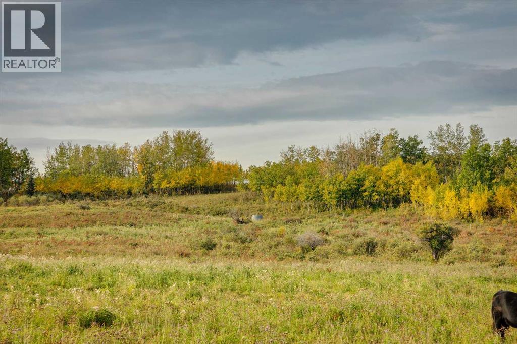 176 St W And 450 Ave W, Rural Foothills County, Alberta  T1S 2V3 - Photo 33 - A2263582