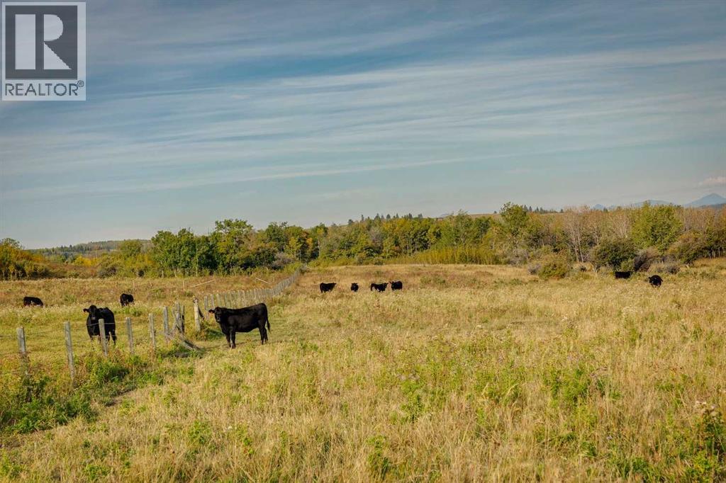 176 St W And 450 Ave W, Rural Foothills County, Alberta  T1S 2V3 - Photo 34 - A2263582
