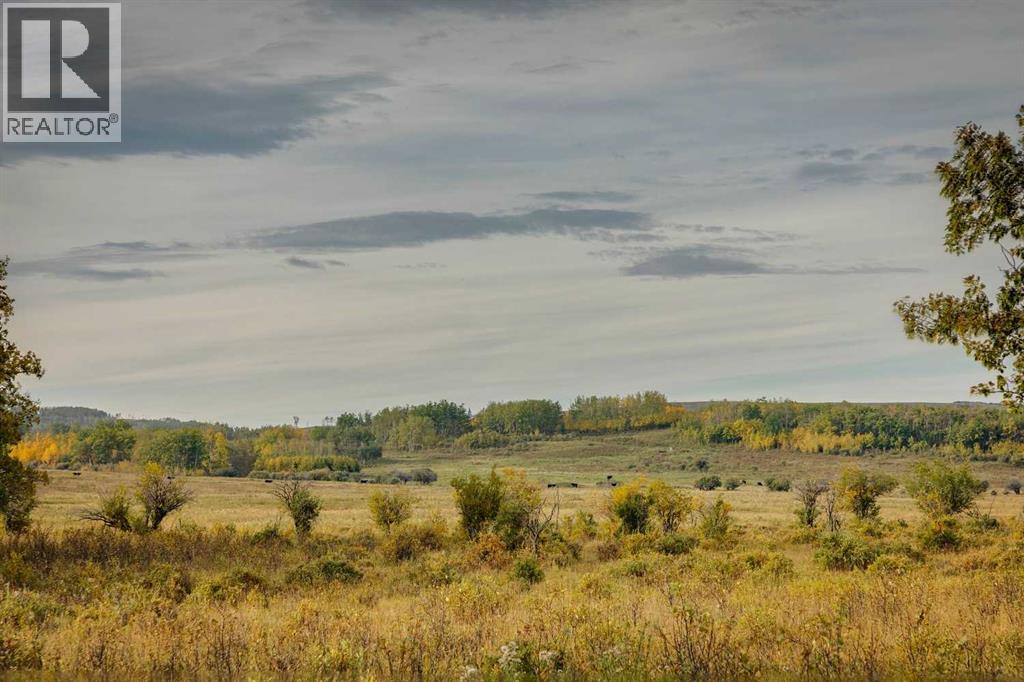 176 St W And 450 Ave W, Rural Foothills County, Alberta  T1S 2V3 - Photo 19 - A2263582