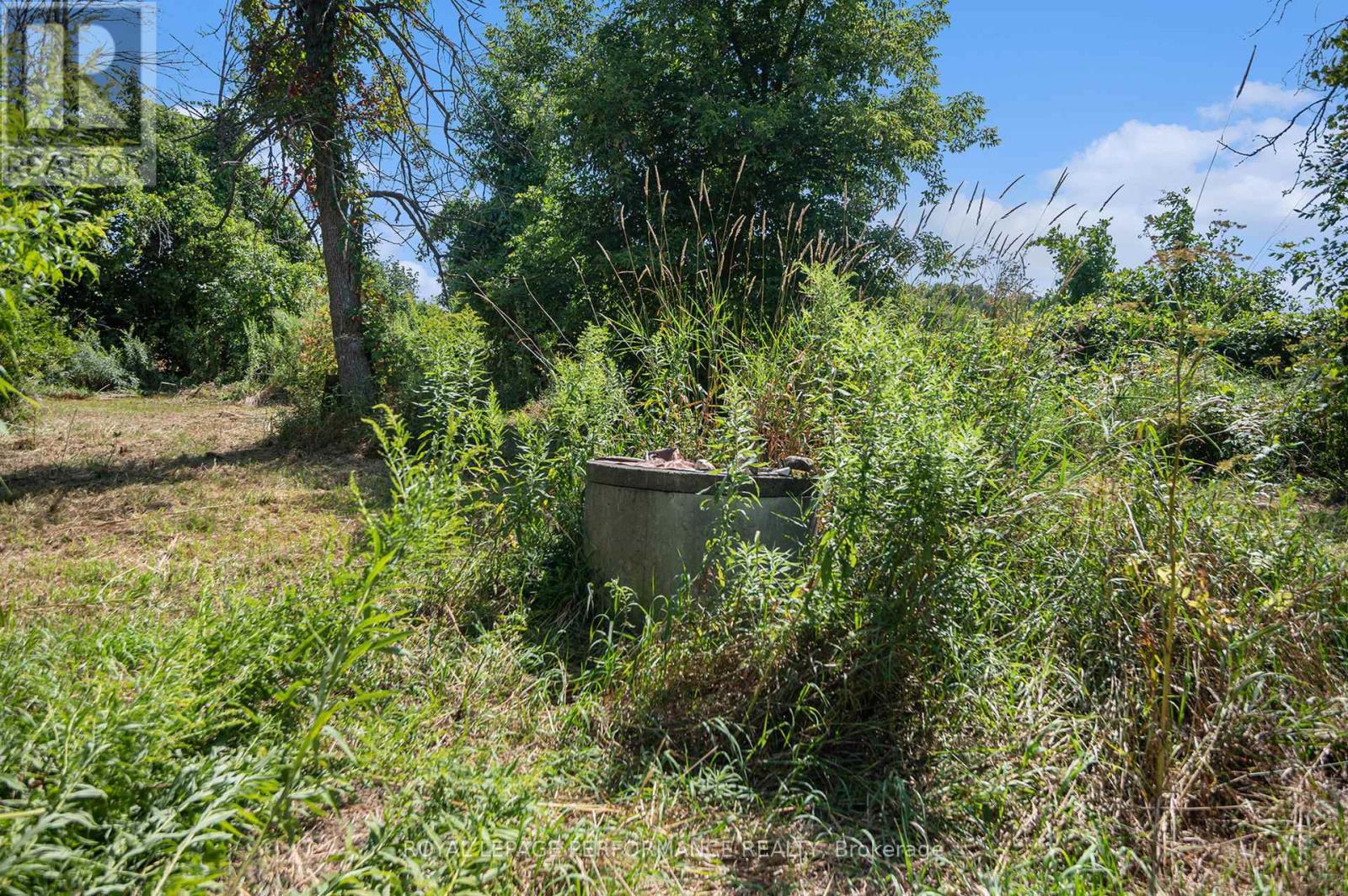 3796 County Rd 12 Road, South Stormont, Ontario  K0C 1V0 - Photo 6 - X12458285