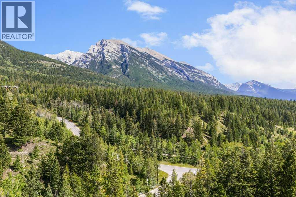 24 Blue Grouse Ridge, Canmore, Alberta  T1W 1L5 - Photo 3 - A2251831