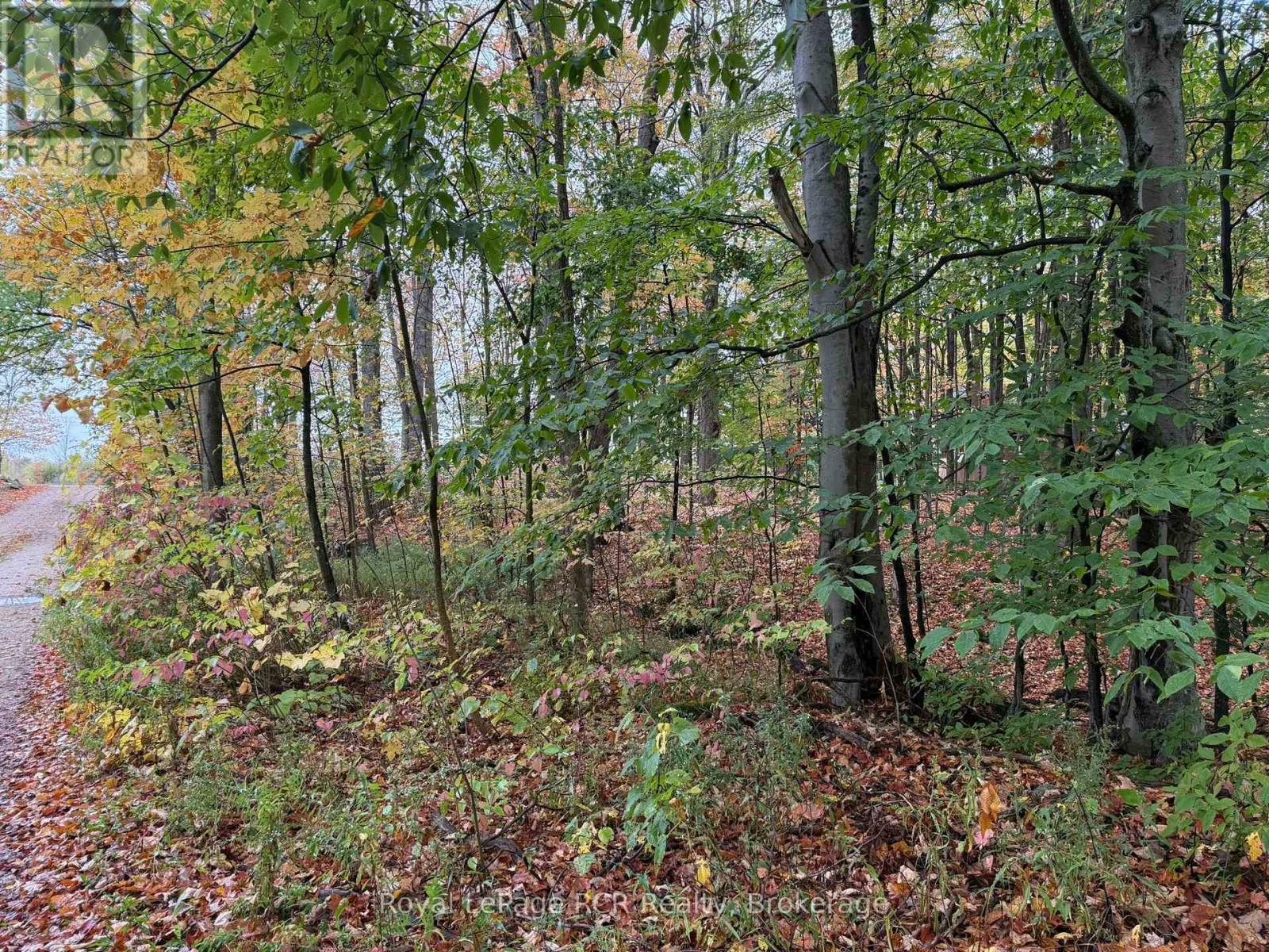 Lot 8 Green Acres Road, Grey Highlands, Ontario  N0C 1E0 - Photo 13 - X12458261