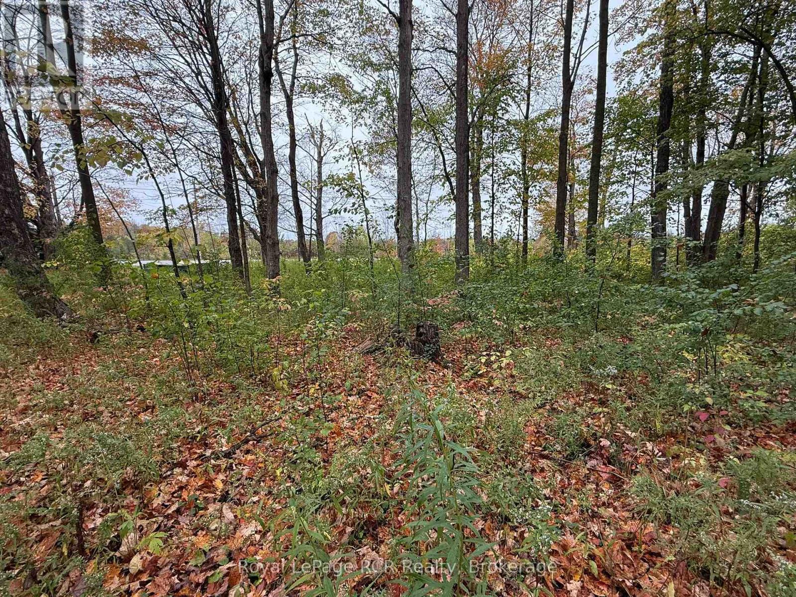 Lot 8 Green Acres Road, Grey Highlands, Ontario  N0C 1E0 - Photo 15 - X12458261