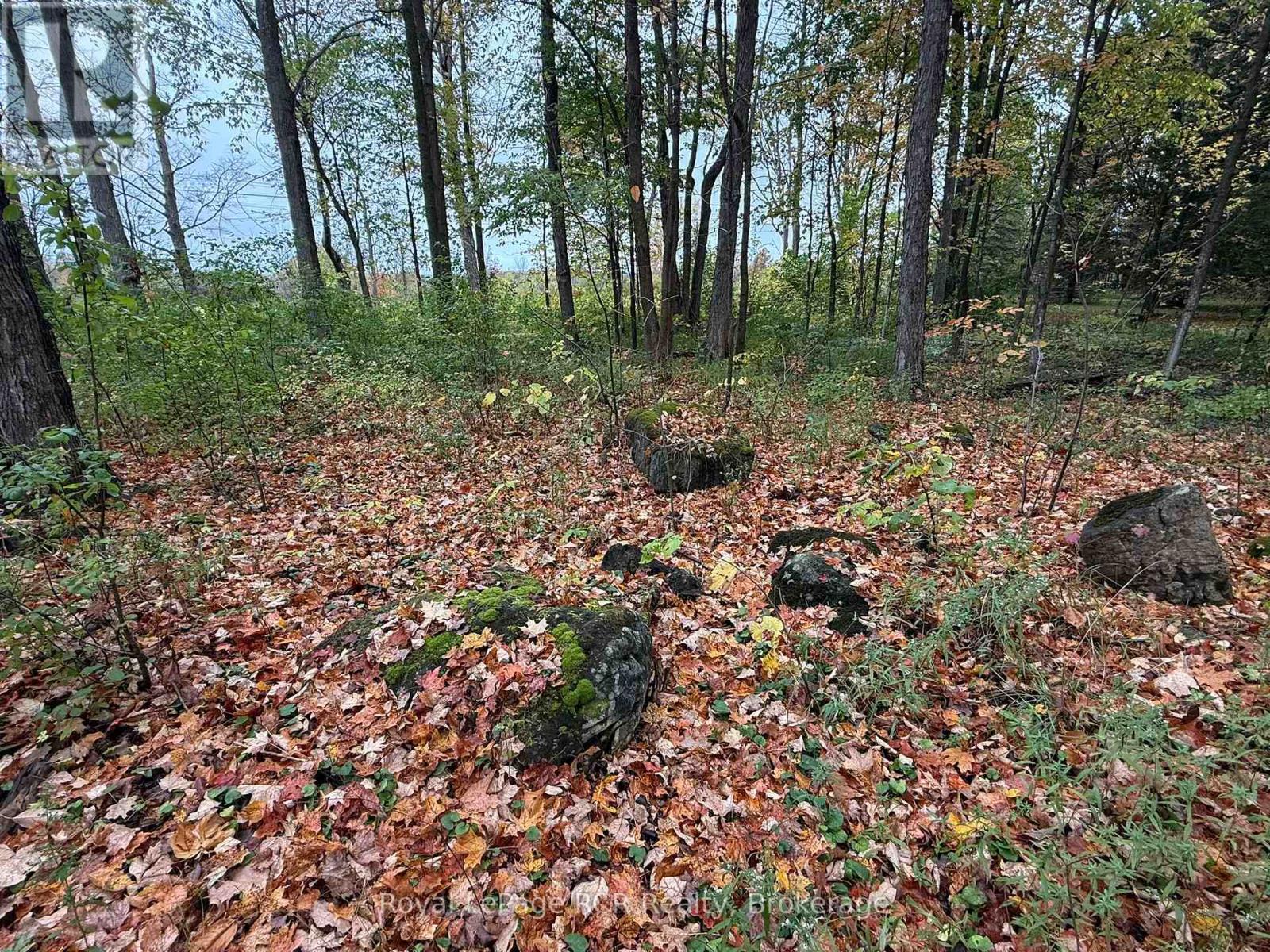 Lot 8 Green Acres Road, Grey Highlands, Ontario  N0C 1E0 - Photo 16 - X12458261