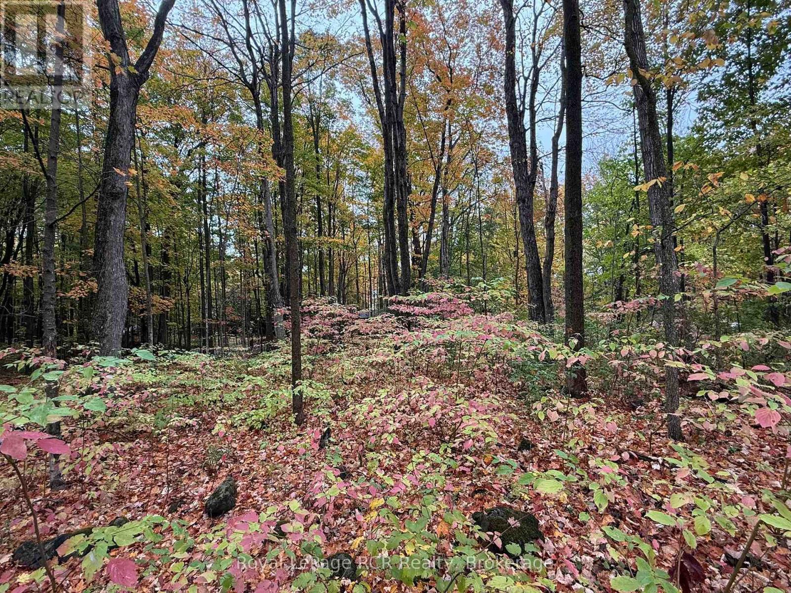 Lot 8 Green Acres Road, Grey Highlands, Ontario  N0C 1E0 - Photo 17 - X12458261