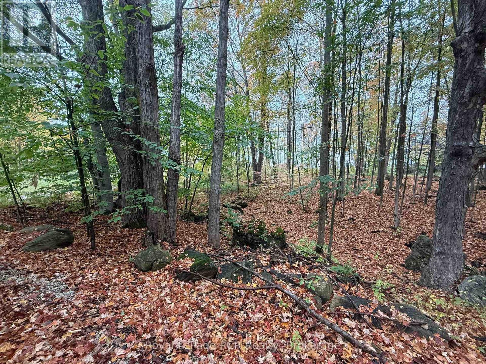 Lot 8 Green Acres Road, Grey Highlands, Ontario  N0C 1E0 - Photo 18 - X12458261