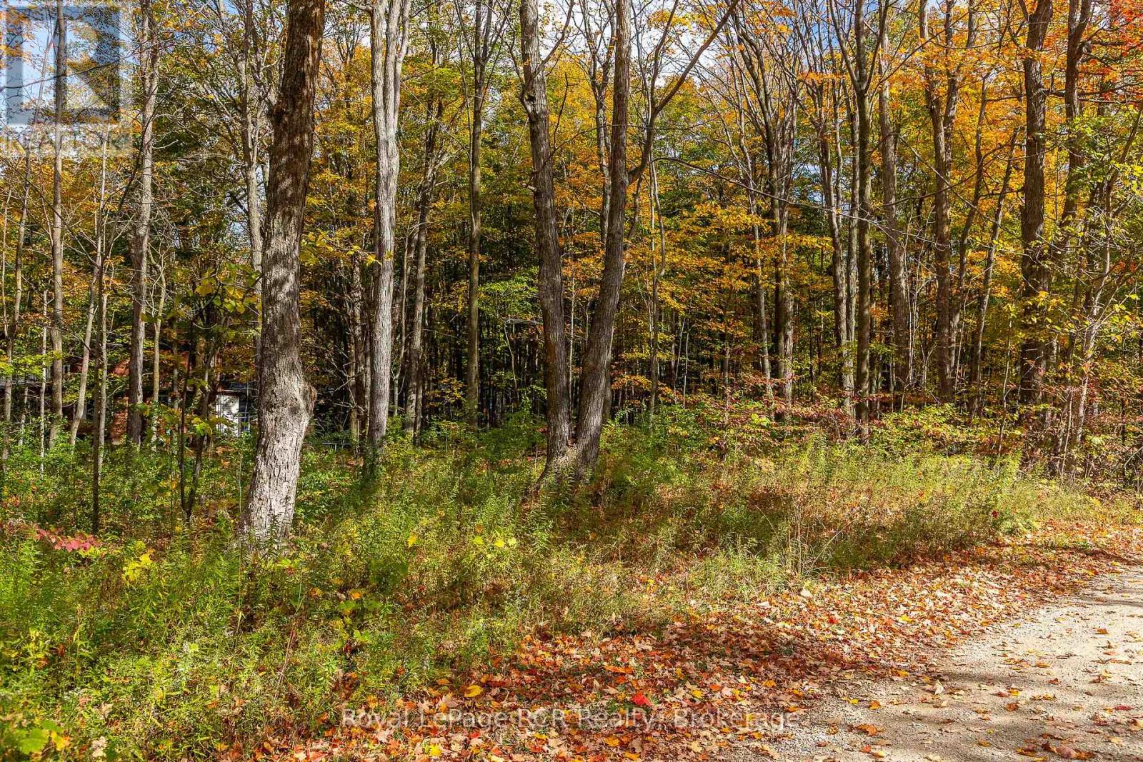 Lot 8 Green Acres Road, Grey Highlands, Ontario  N0C 1E0 - Photo 5 - X12458261