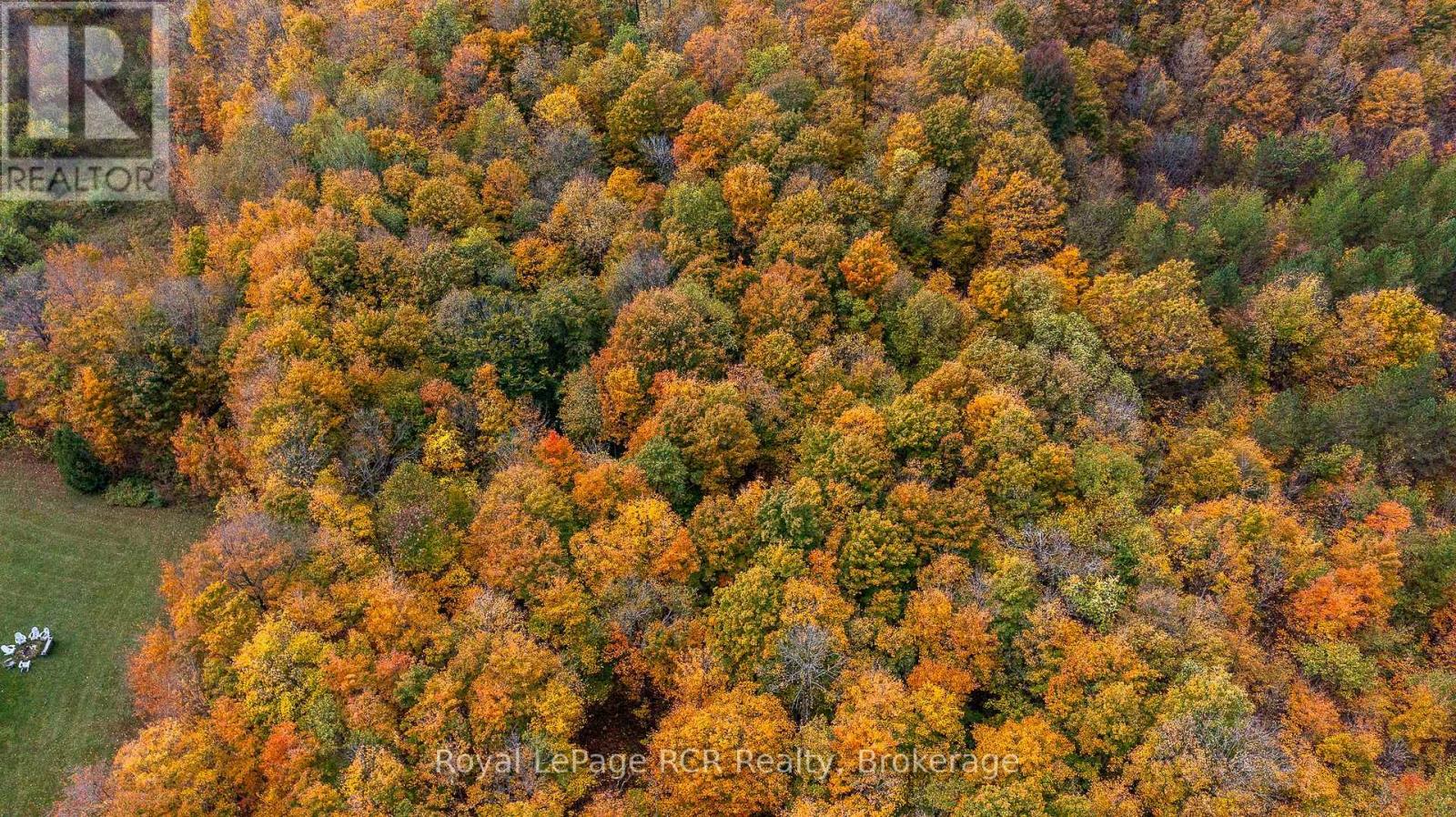 00 9th Line, Grey Highlands, Ontario  N0C 1H0 - Photo 11 - X12458269