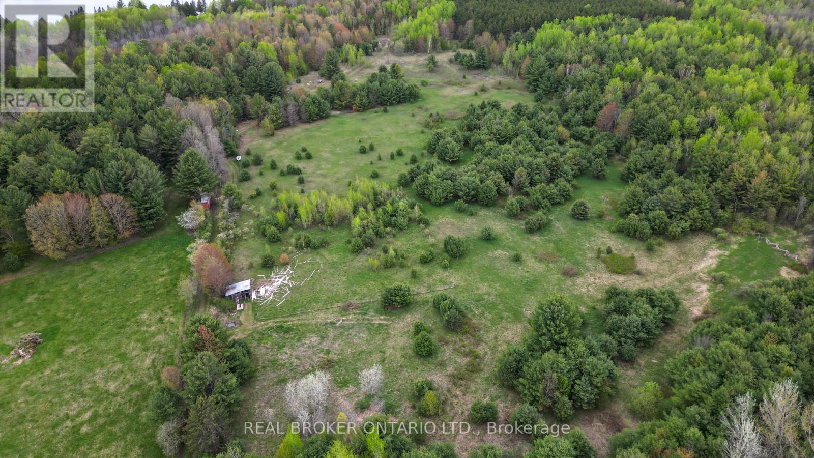 261 Portage Road, Kawartha Lakes, Ontario  K0M 1B0 - Photo 38 - X12052618