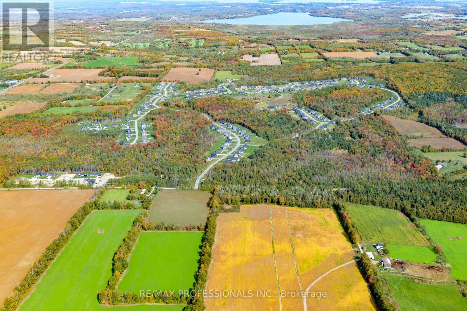 2960 Line 8 N, Oro-Medonte, Ontario  L0K 1N0 - Photo 16 - S12458256