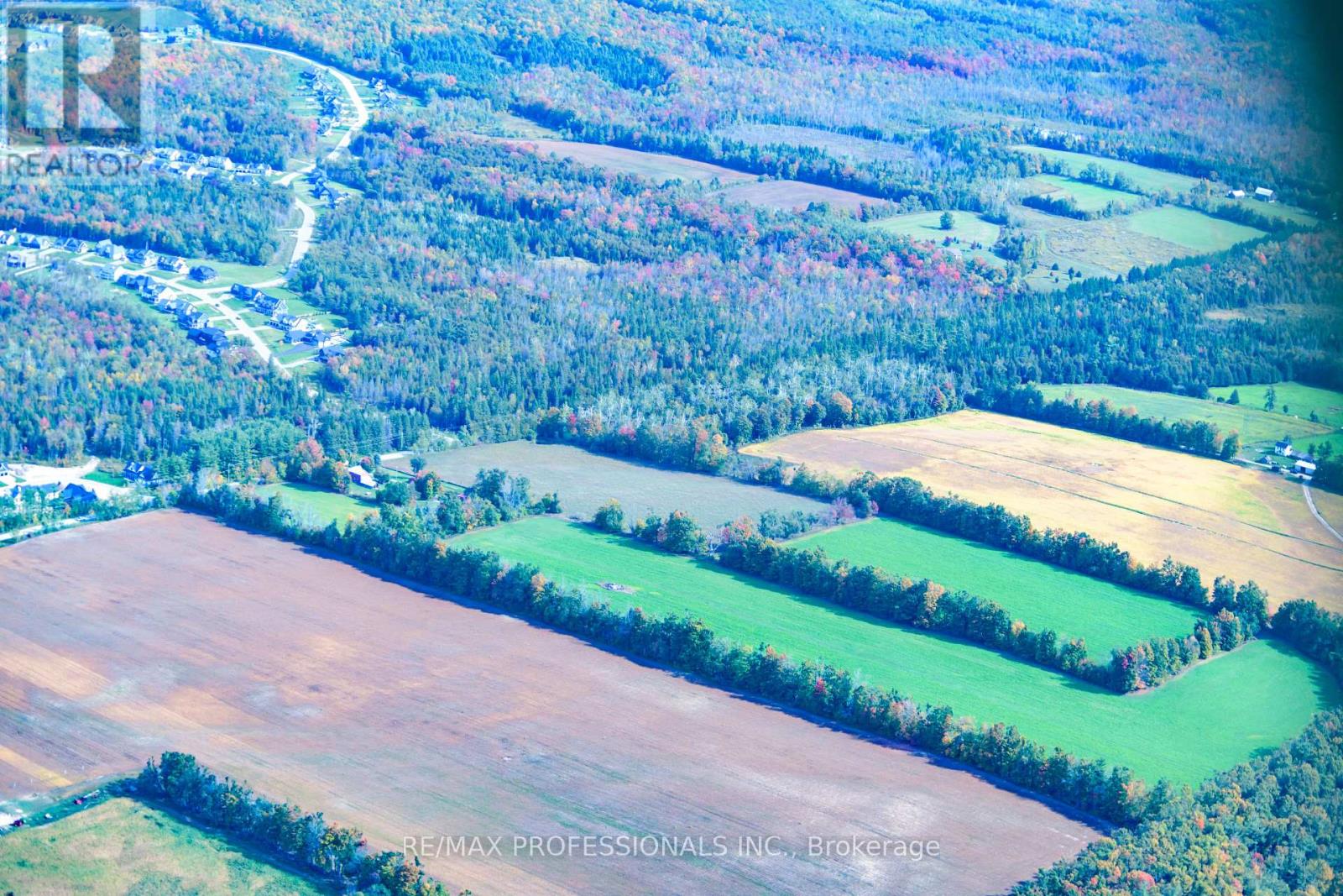 2960 Line 8 N, Oro-Medonte, Ontario  L0K 1N0 - Photo 14 - S12458258