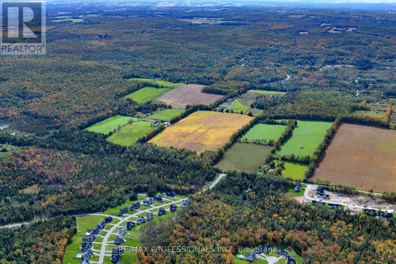 2960 Line 8 N, Oro-Medonte, Ontario  L0K 1N0 - Photo 31 - S12458258