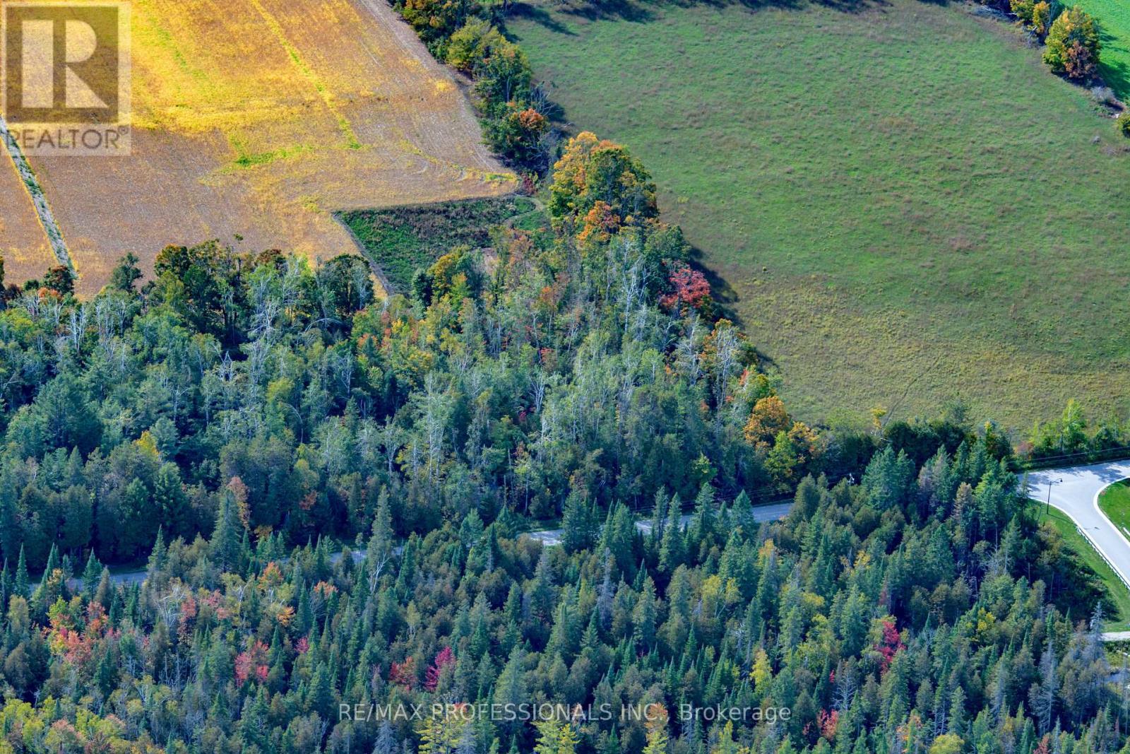 2960 Line 8 N, Oro-Medonte, Ontario  L0K 1N0 - Photo 5 - S12458258