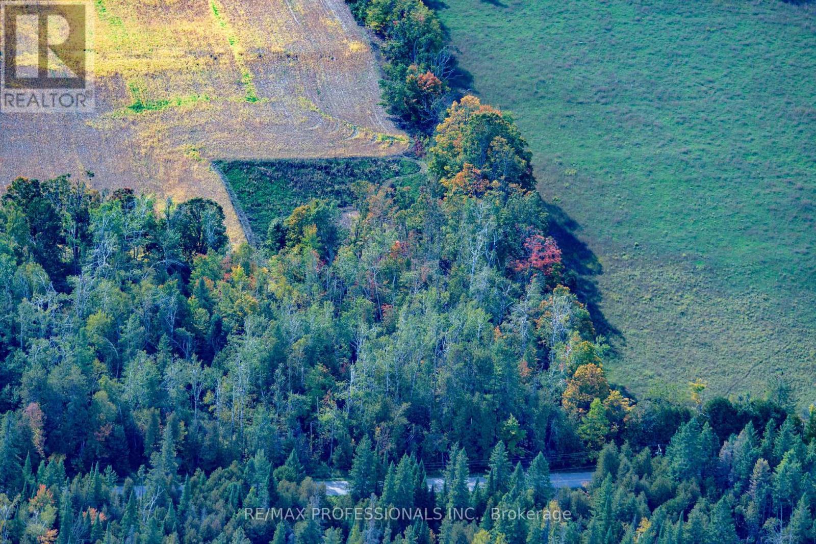 2960 Line 8 N, Oro-Medonte, Ontario  L0K 1N0 - Photo 6 - S12458258