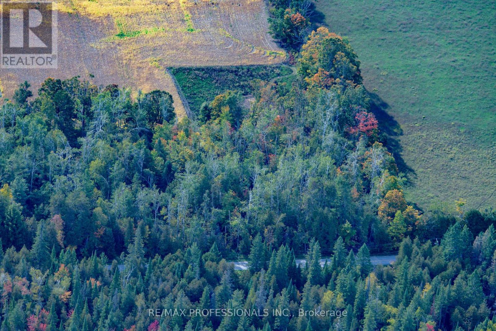 2960 Line 8 N, Oro-Medonte, Ontario  L0K 1N0 - Photo 7 - S12458258