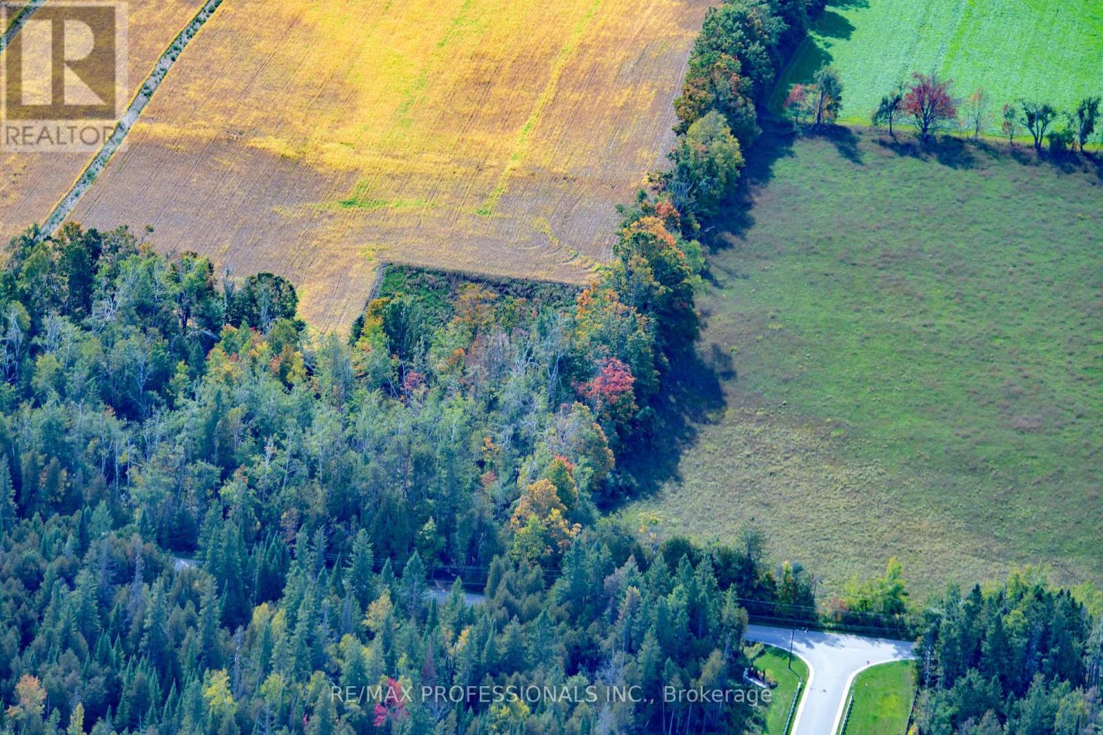 2960 Line 8 N, Oro-Medonte, Ontario  L0K 1N0 - Photo 8 - S12458258